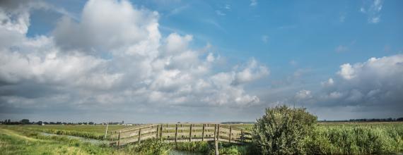 Nederlands weiland met blauwe wolkenlucht